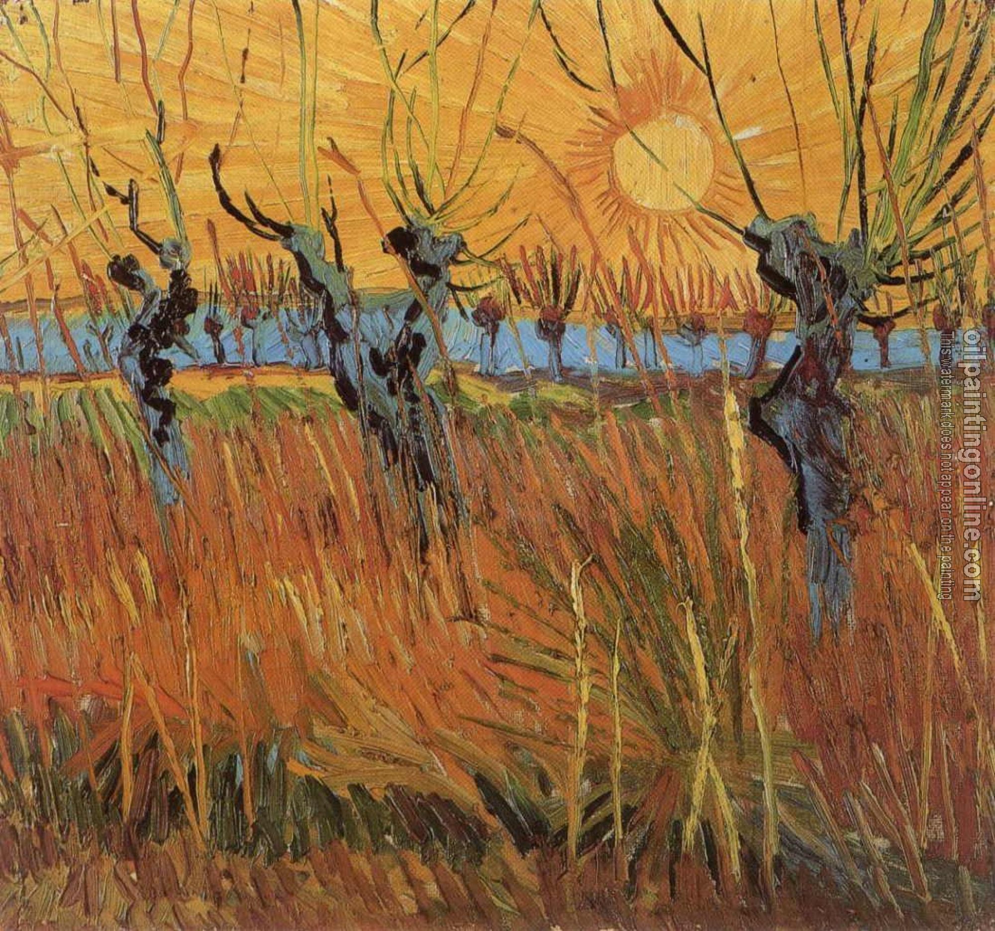 Gogh, Vincent van - Willows at Sunset